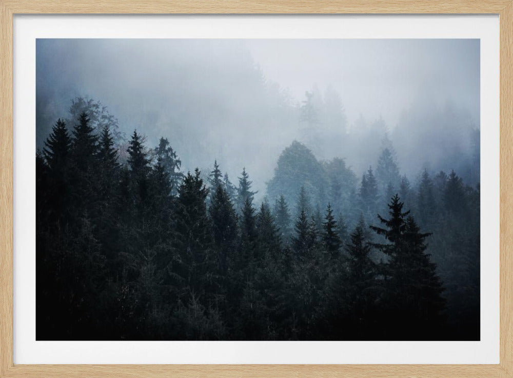 Nebliger Wald 5 | Poster