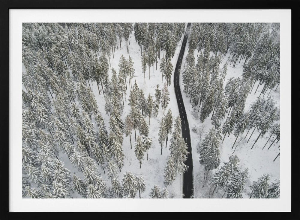 Schneebedeckte Bäume 5 | Poster