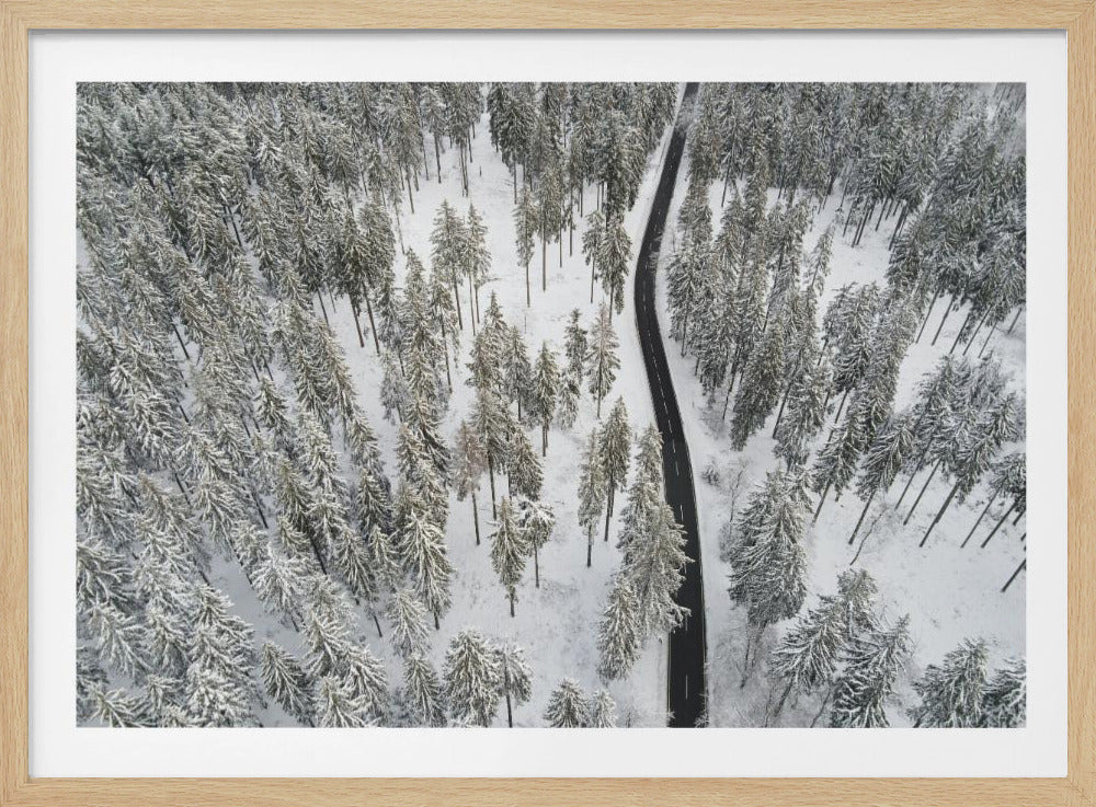 Schneebedeckte Bäume 5 | Poster