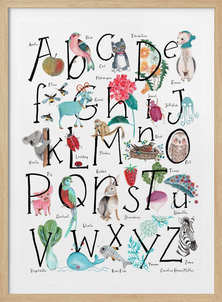 ABC-Illustration | Poster