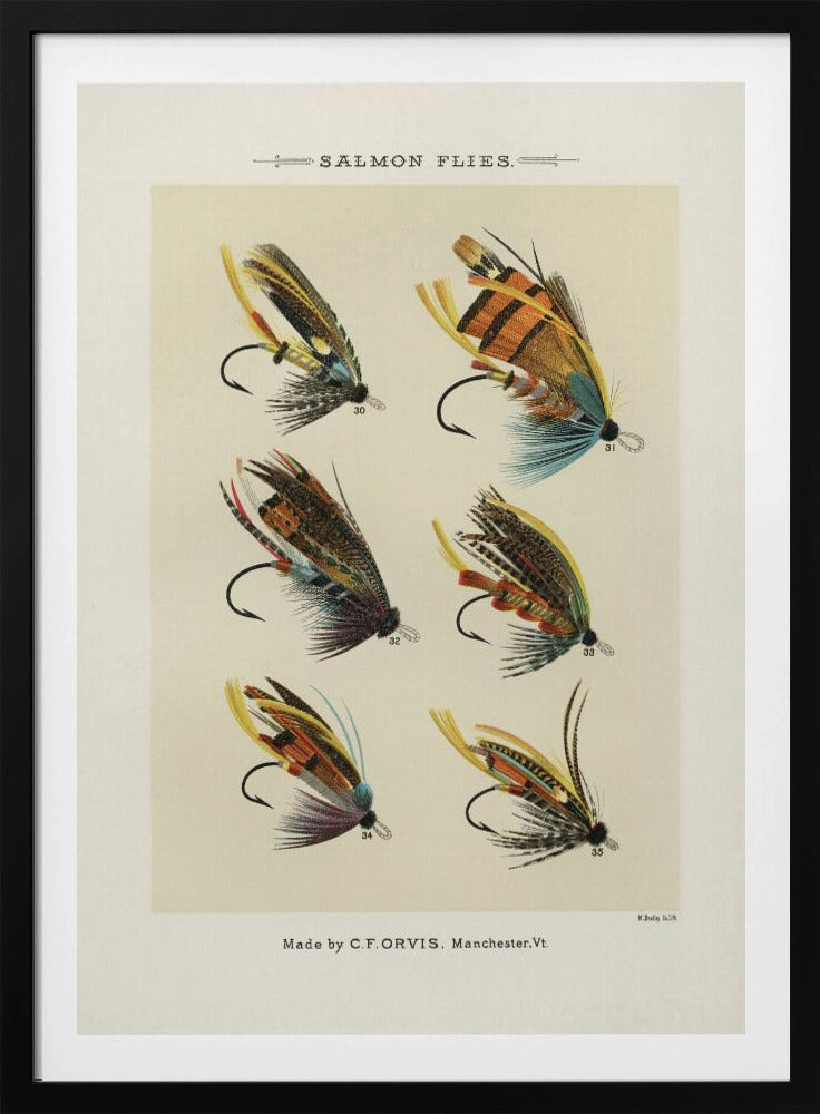 Lachsfliege 1892 | Poster