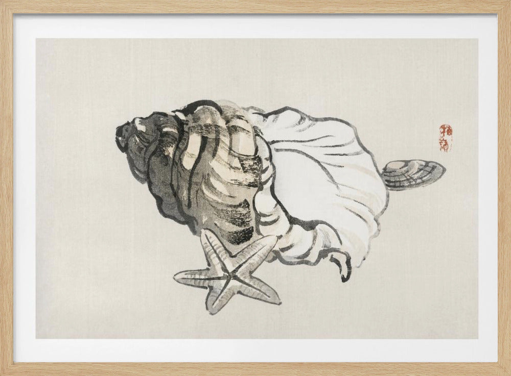 Star Fish and Conch | Poster