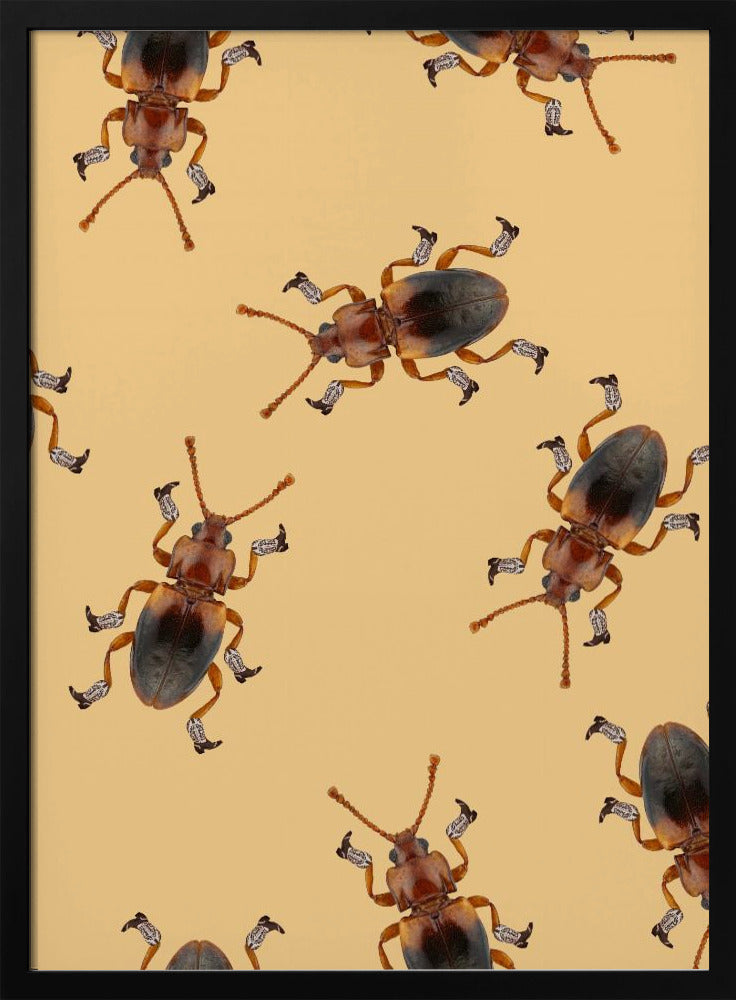 Billy der Stiefelkäfer | Poster