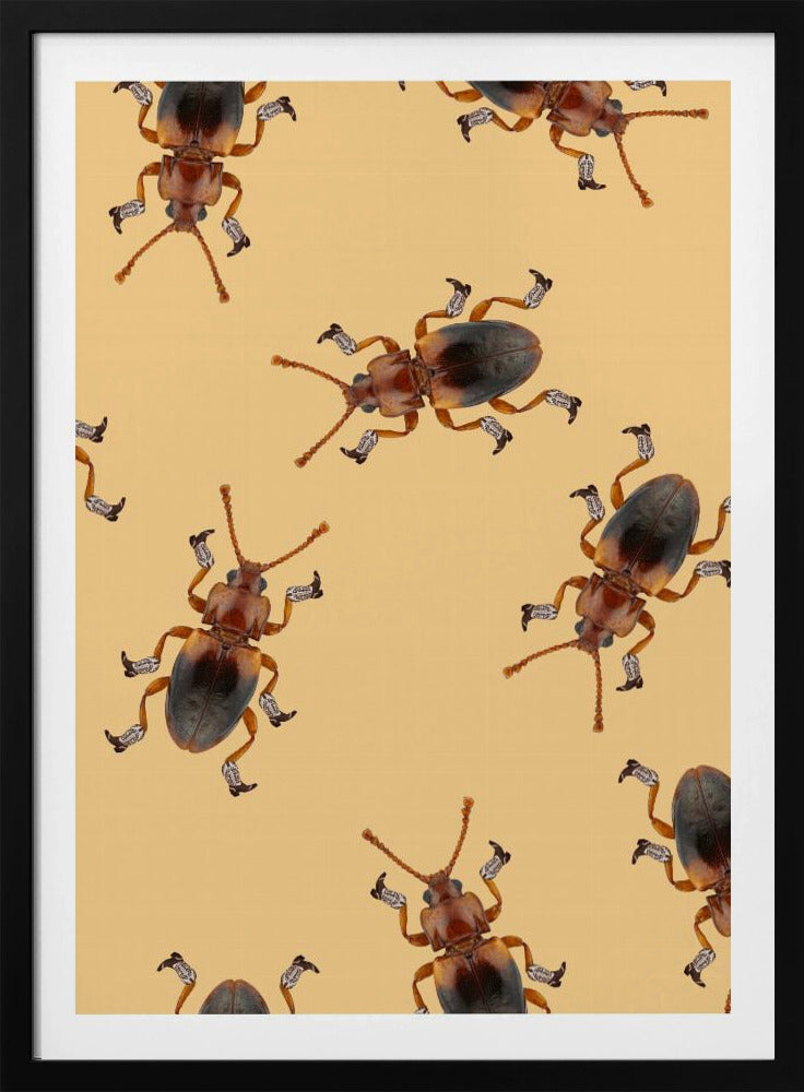 Billy der Stiefelkäfer | Poster