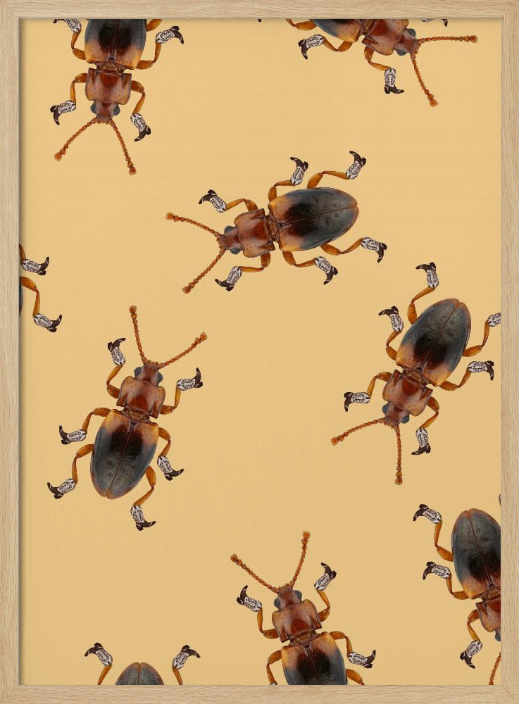 Billy der Stiefelkäfer | Poster