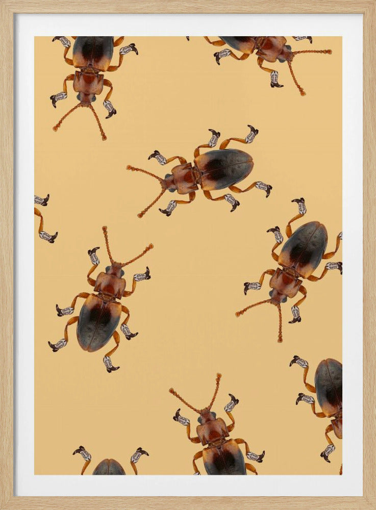 Billy der Stiefelkäfer | Poster