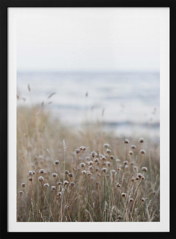 Coast Landscapes 4 | Poster
