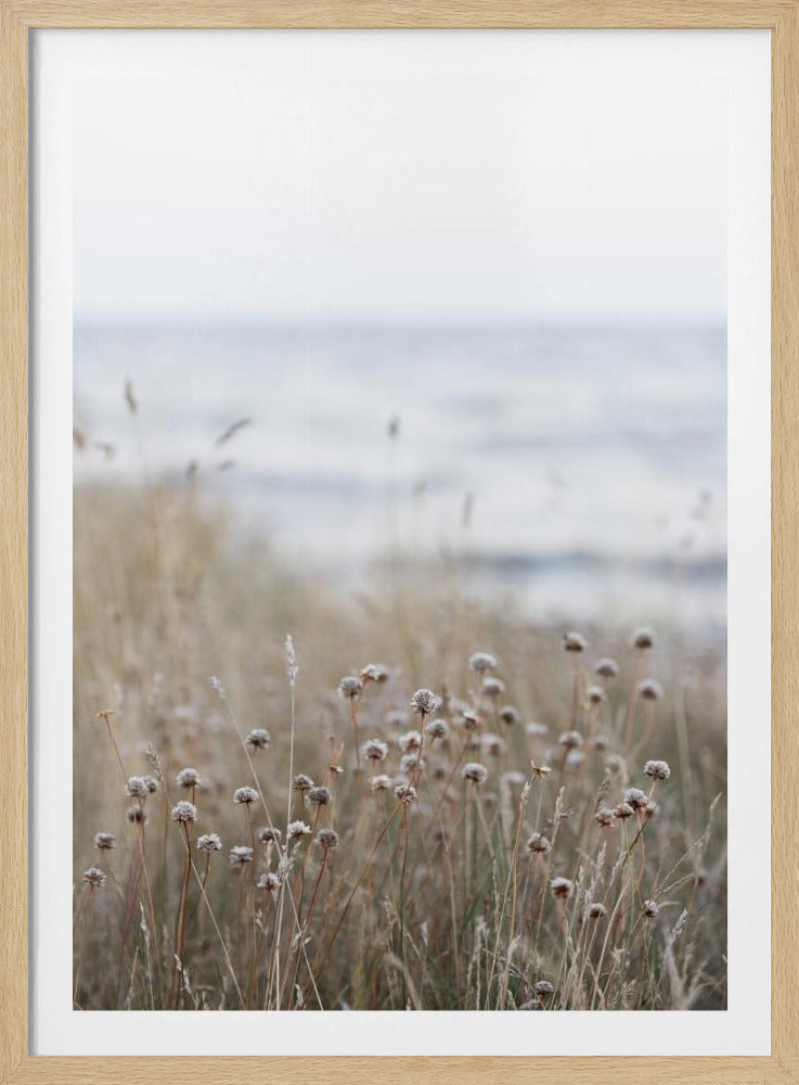 Coast Landscapes 4 | Poster