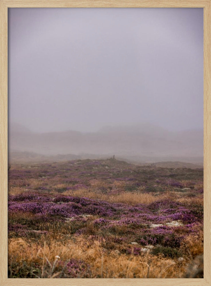Dünen 1 | Poster