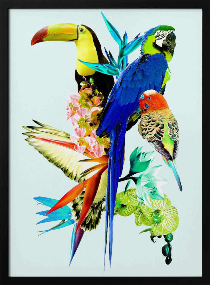 Paradiesvögel II | Poster