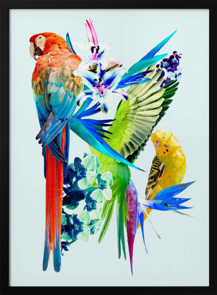Paradiesvögel I | Poster