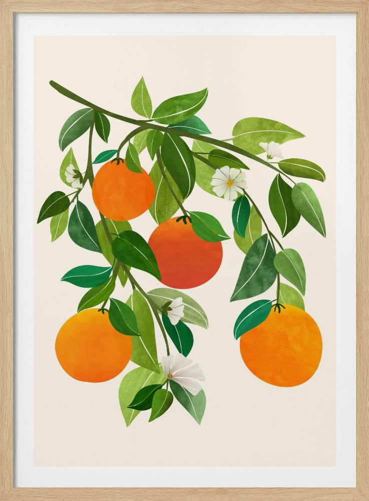 Orangen und Blüten II | Poster