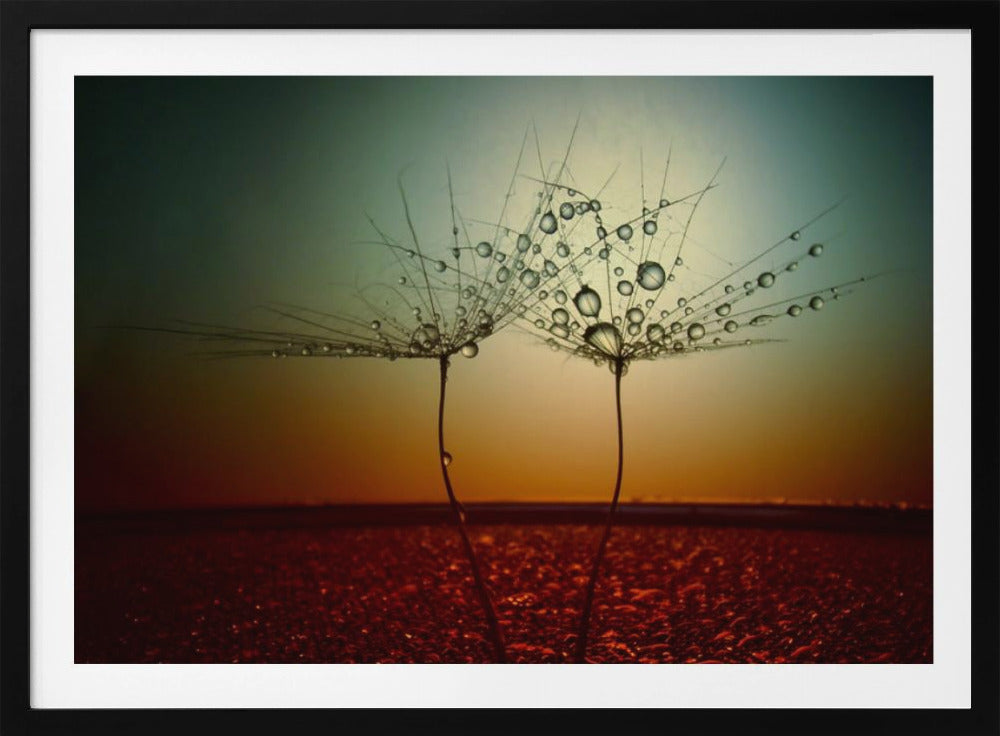 Feuer und Wasser | Poster