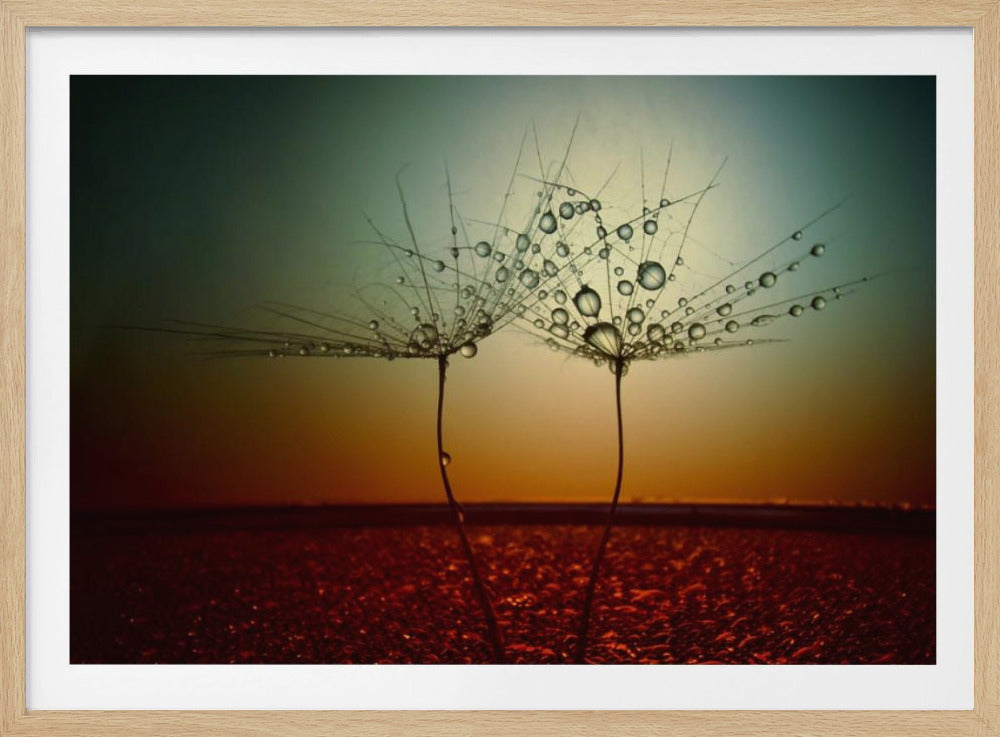 Feuer und Wasser | Poster