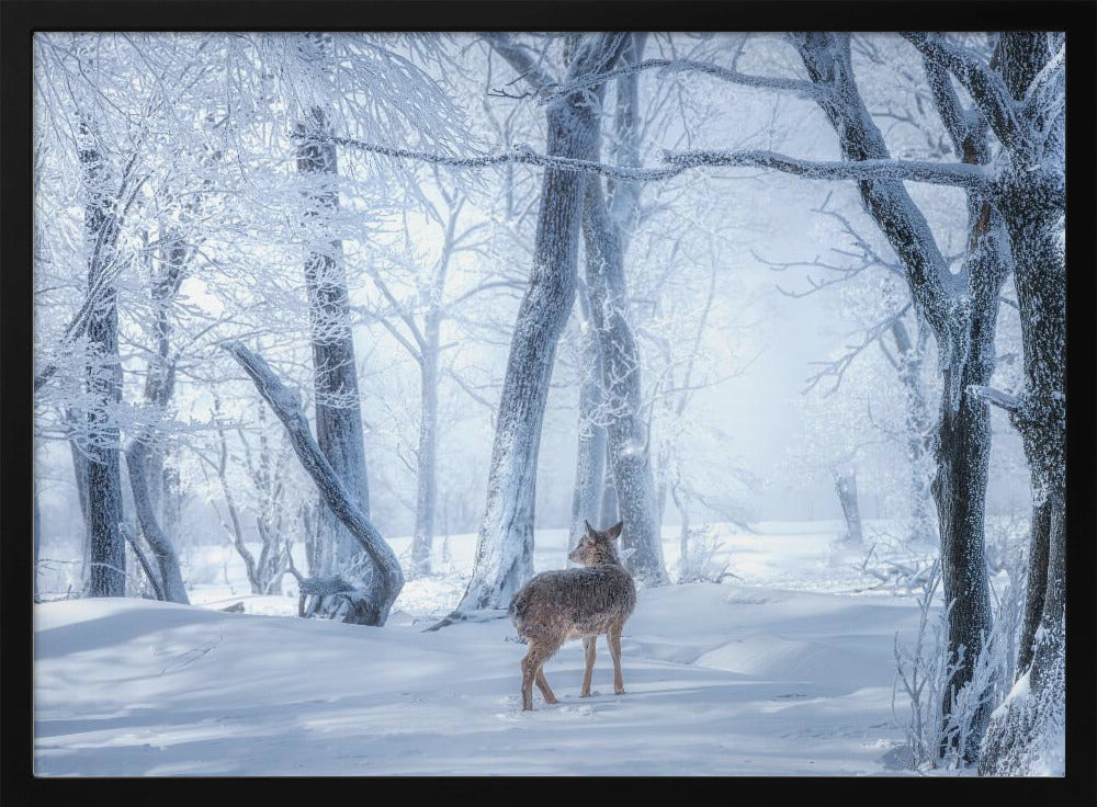 Der Sikahirsch im verschneiten Wald | Poster