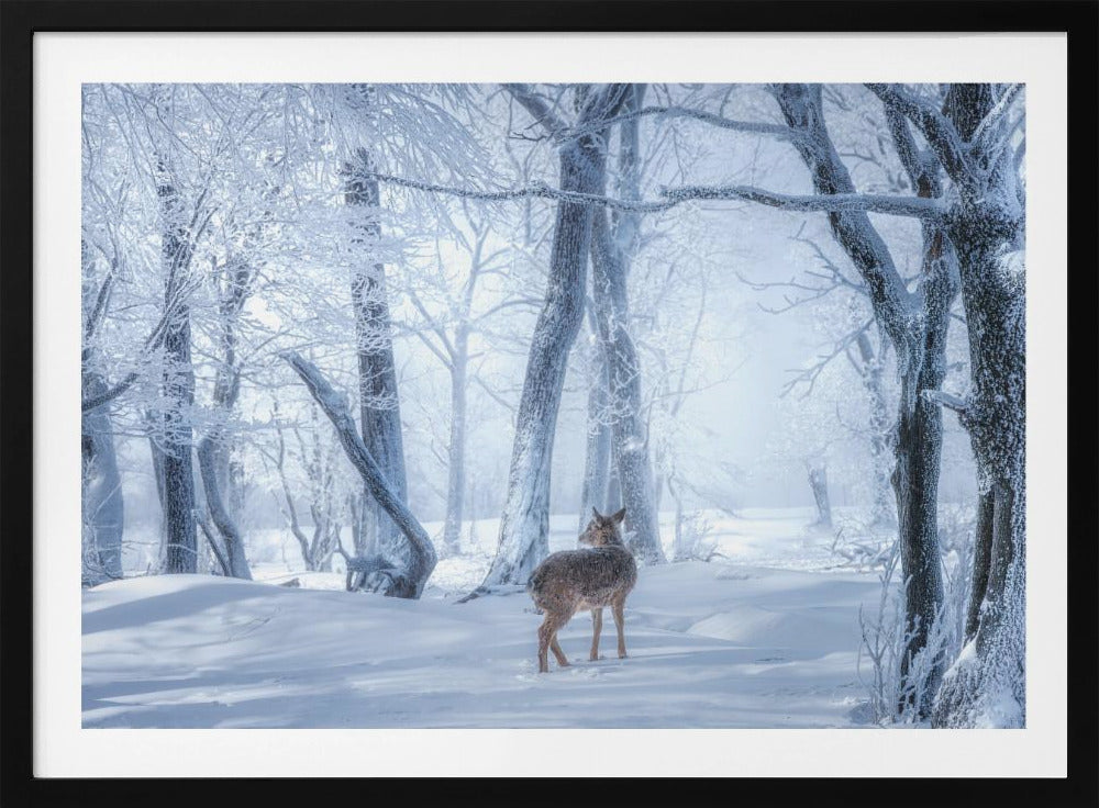 Der Sikahirsch im verschneiten Wald | Poster