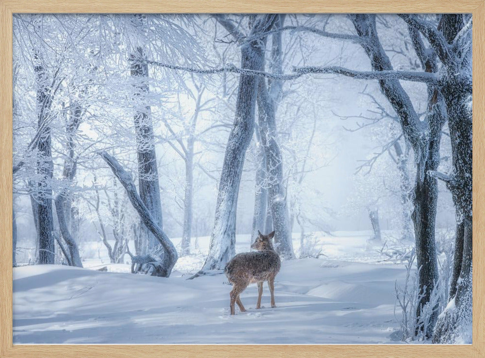 Der Sikahirsch im verschneiten Wald | Poster