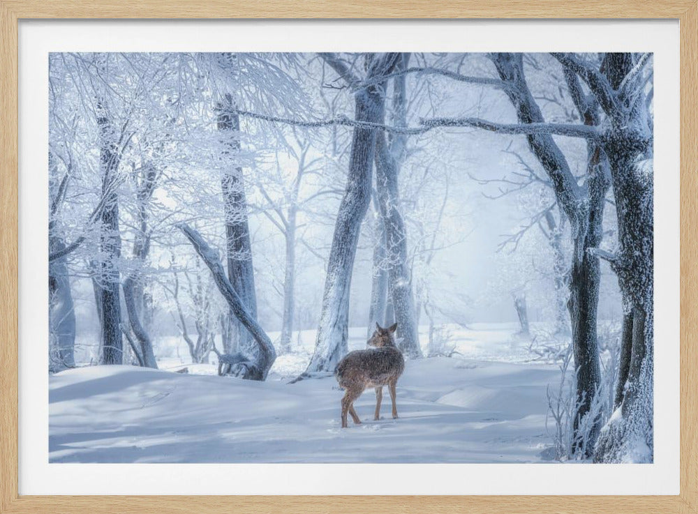 Der Sikahirsch im verschneiten Wald | Poster