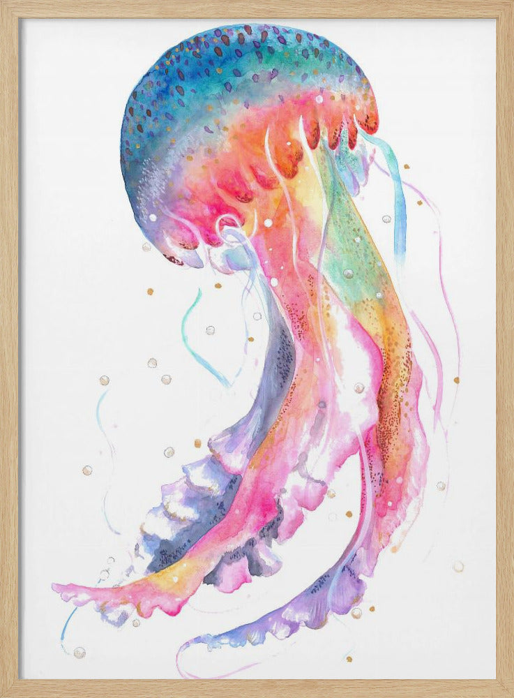 Quallen mit Regenbogenfarben | Poster