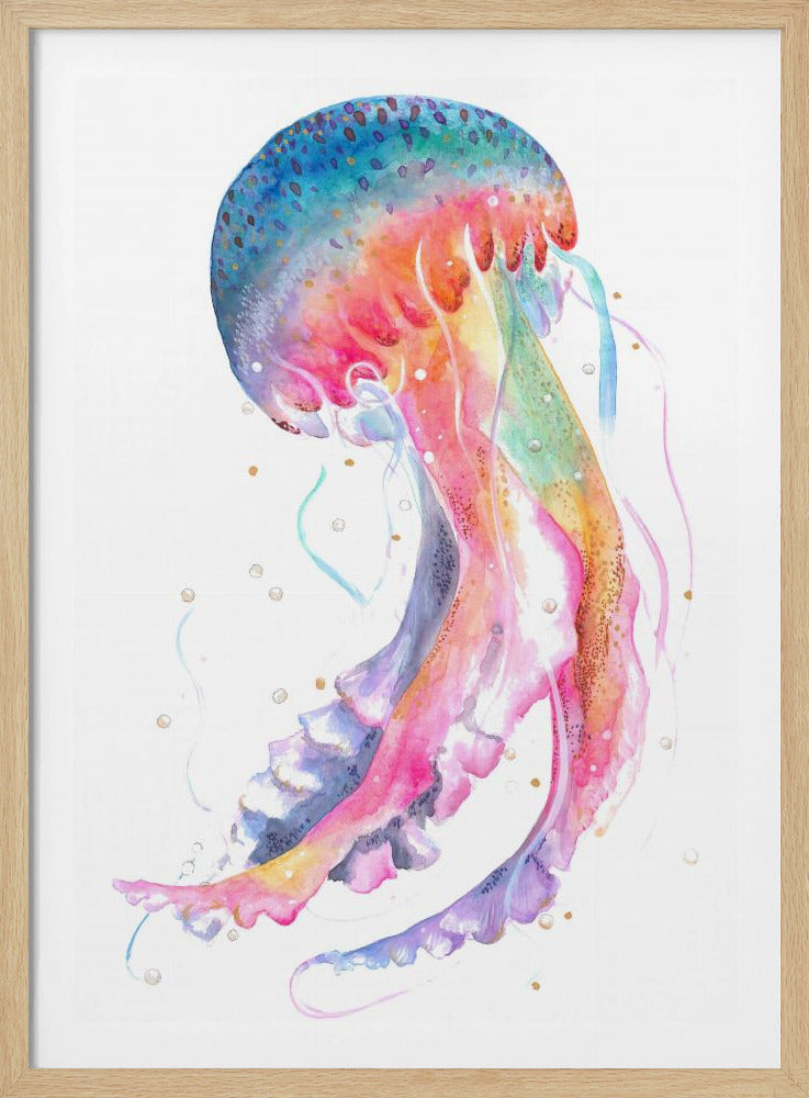 Quallen mit Regenbogenfarben | Poster