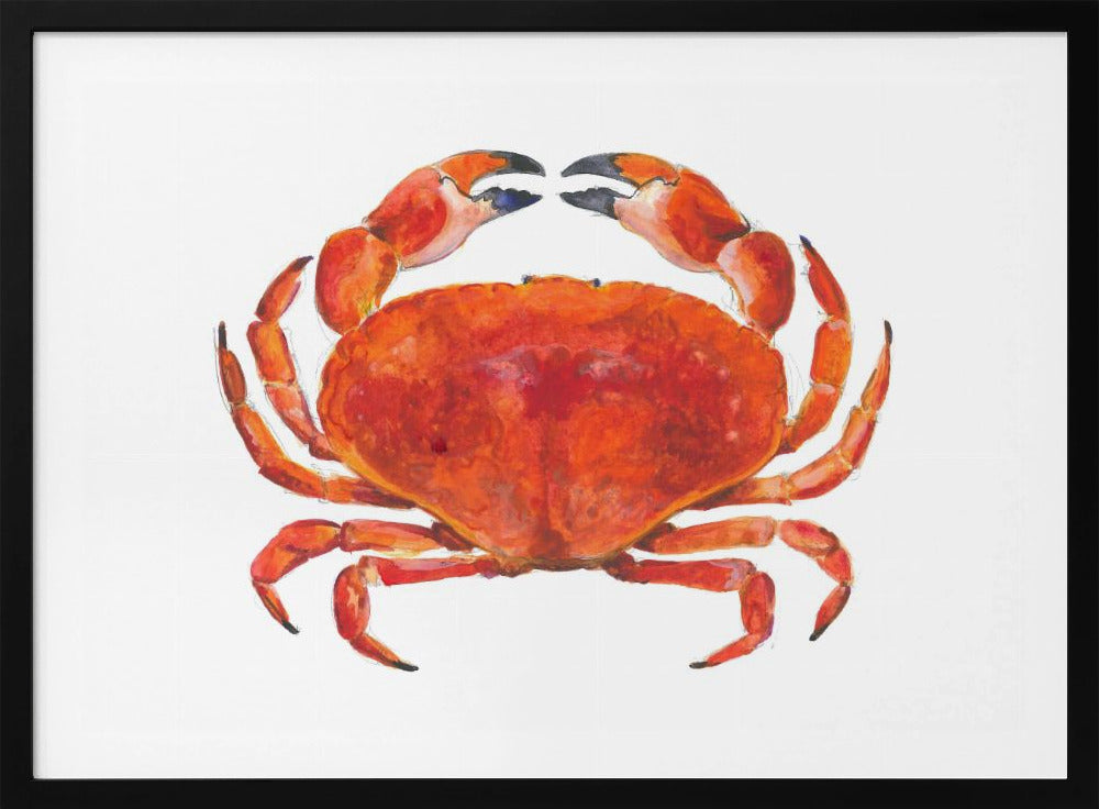Realistische rote Krabbe | Poster