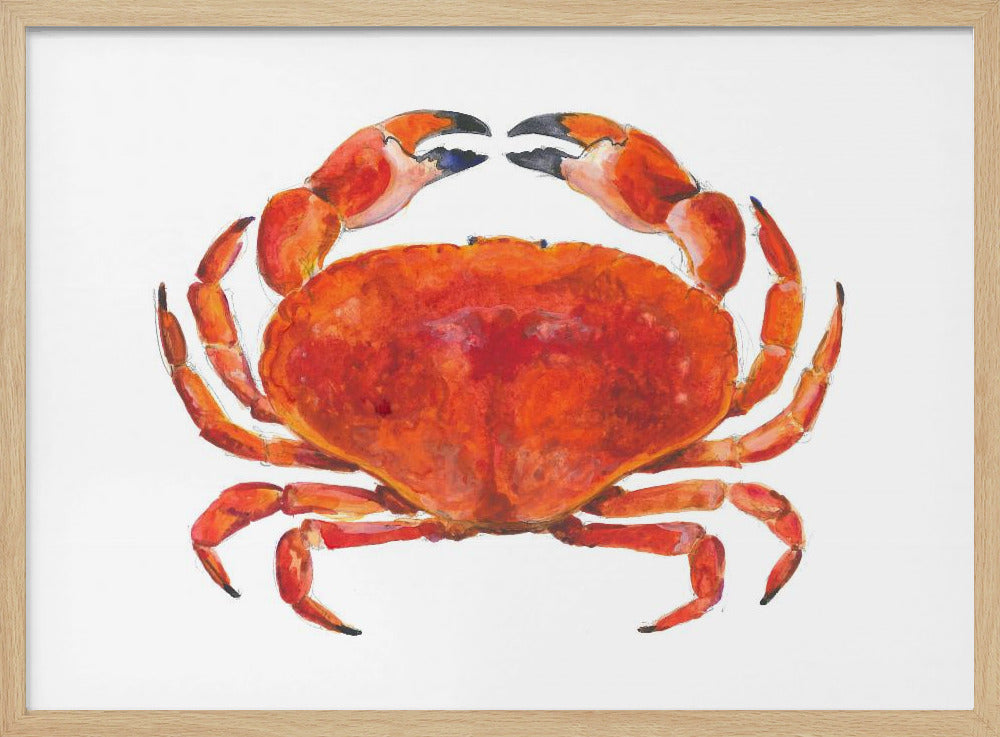 Realistische rote Krabbe | Poster