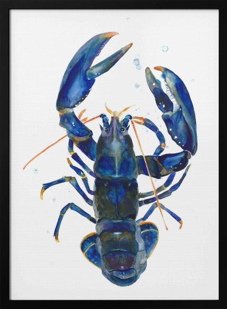 Ein blauer Hummer | Poster