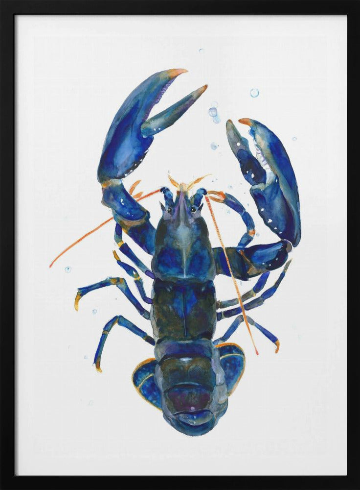 Ein blauer Hummer | Poster