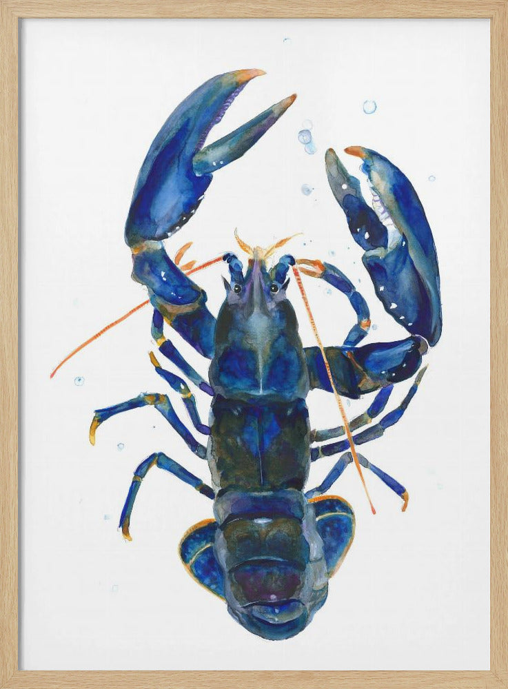 Ein blauer Hummer | Poster