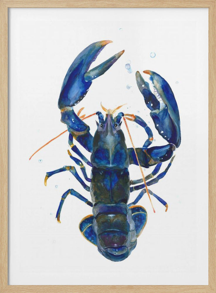 Ein blauer Hummer | Poster