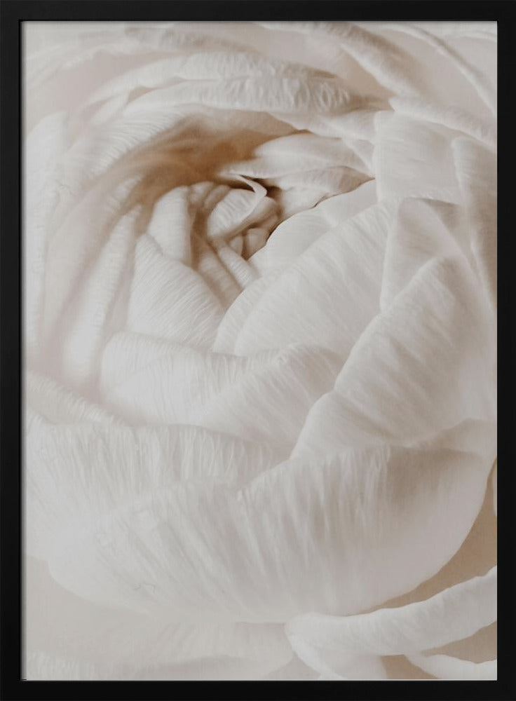Butterblume | Poster