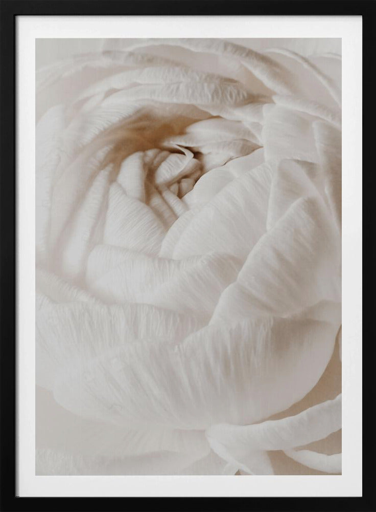 Butterblume | Poster