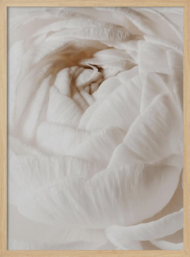 Butterblume | Poster