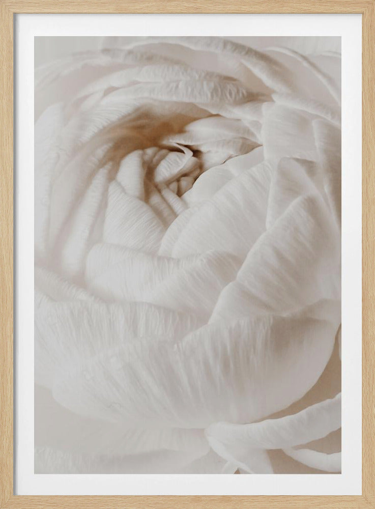Butterblume | Poster