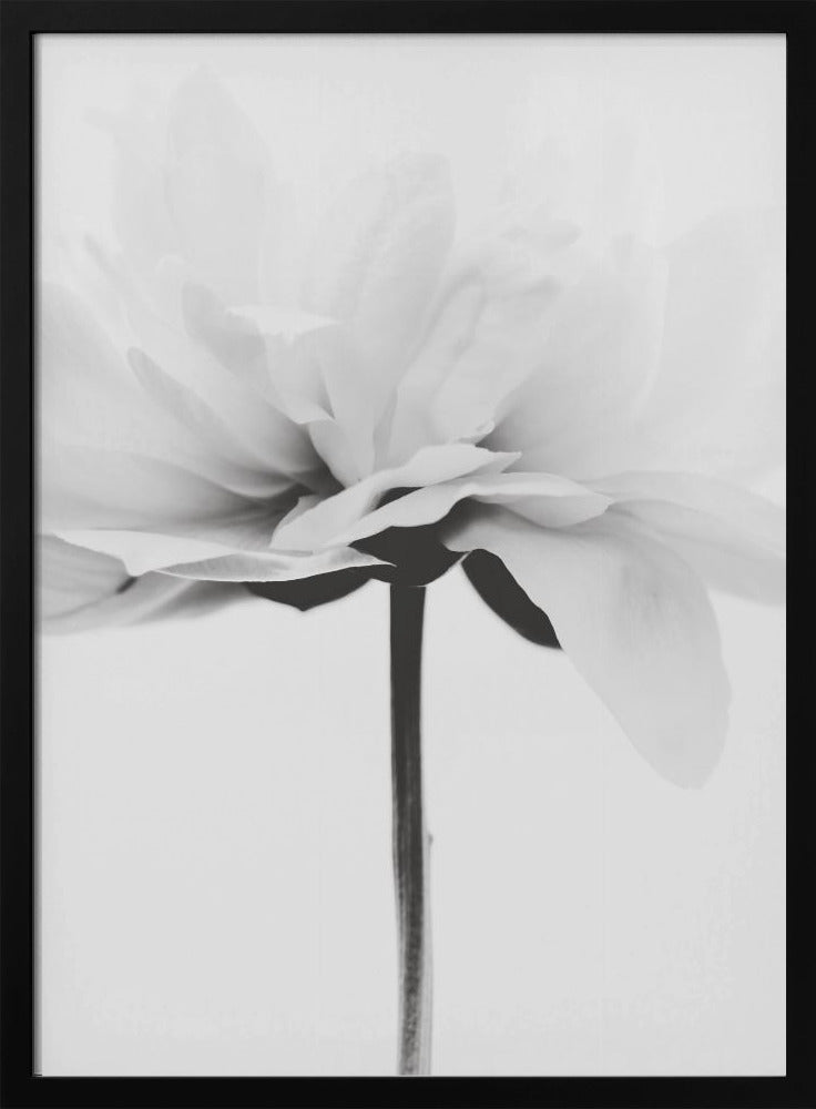 Japandi Coco | Poster