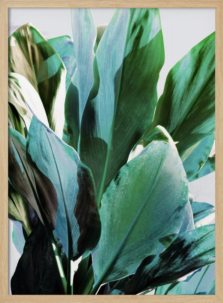 Grüne Blätter I | Poster