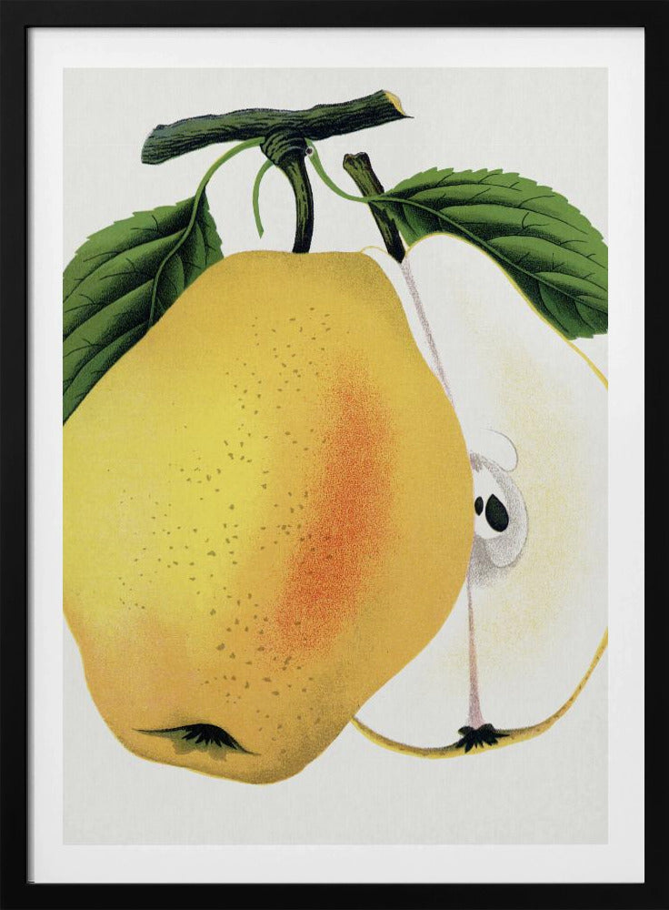 Kiefers Hybridbirnen-Lithografie | Poster
