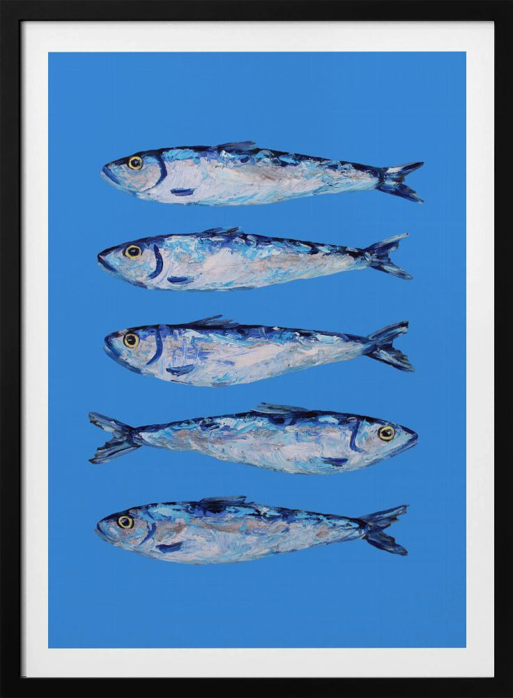 Sardinen auf Blau | Poster