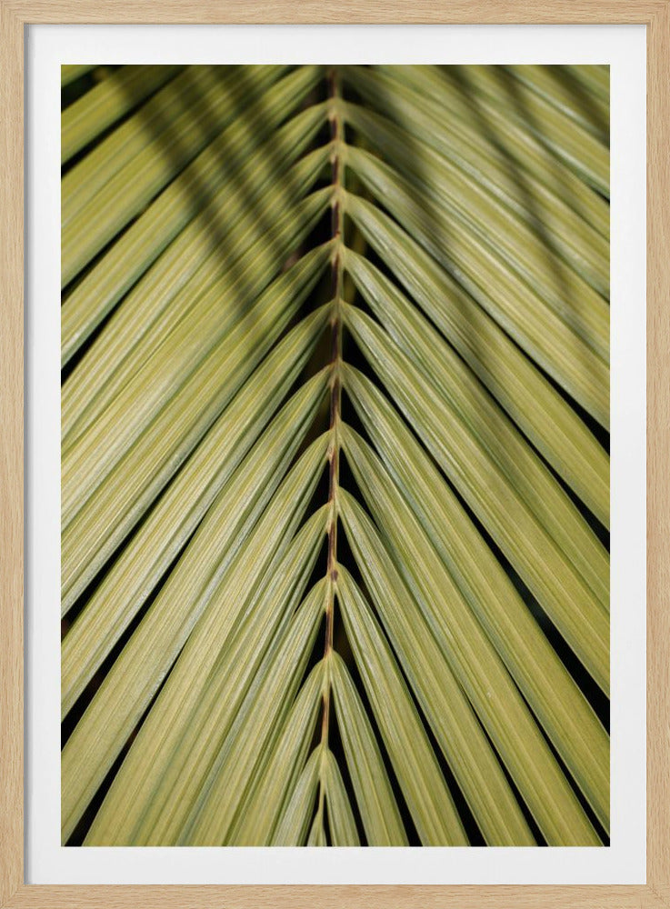 Tropisches Blatt | Poster