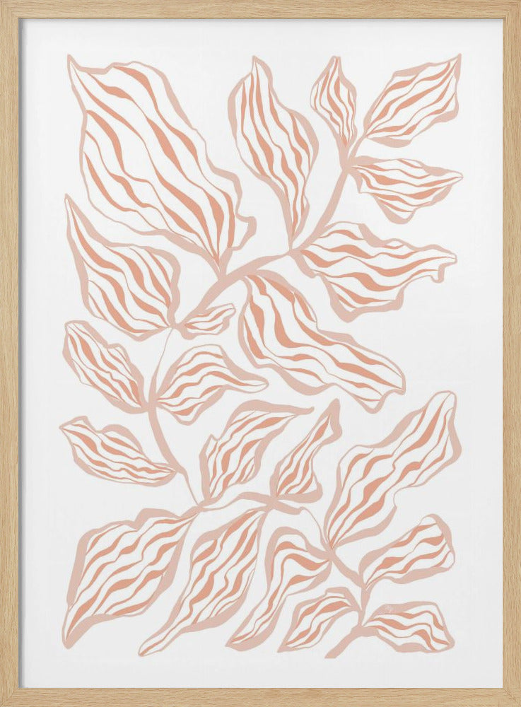 Korallenblätter auf weißem Hintergrund | Poster