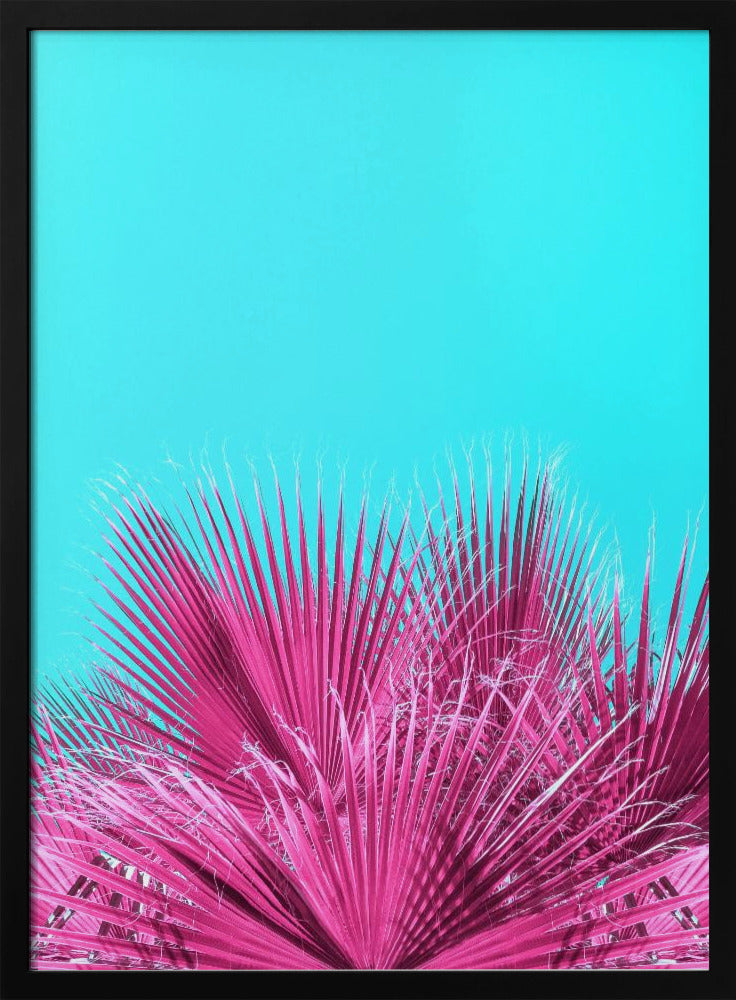 Elektrische rosa Palmwedel | Poster