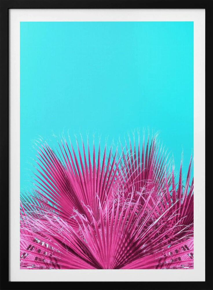 Elektrische rosa Palmwedel | Poster