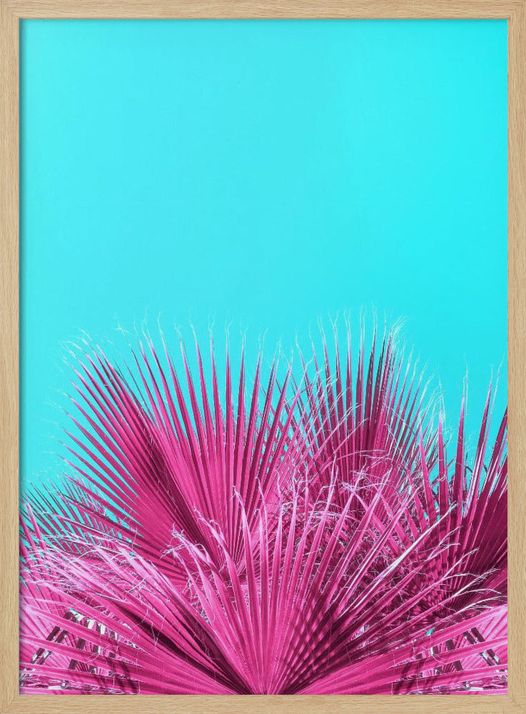 Elektrische rosa Palmwedel | Poster