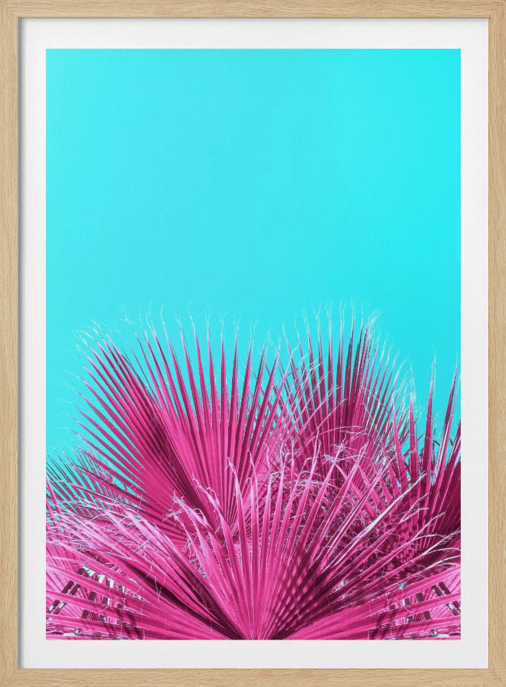 Elektrische rosa Palmwedel | Poster