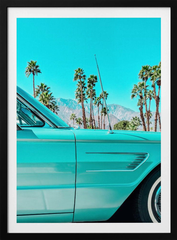 Blaugrüner Donnervogel in Palm Springs | Poster