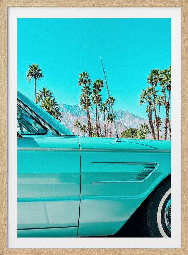 Blaugrüner Donnervogel in Palm Springs | Poster