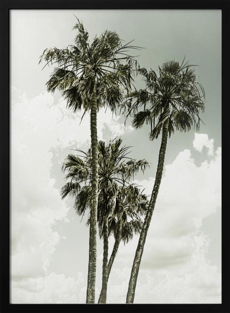 Palmen und Himmel | Vintage | Poster