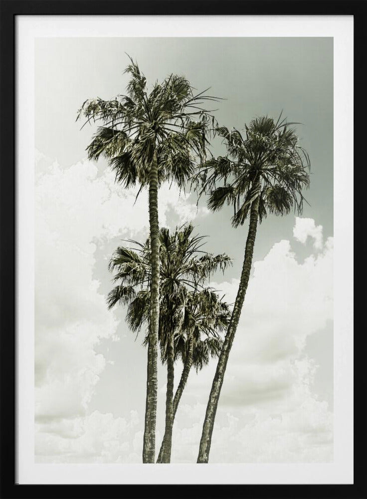 Palmen und Himmel | Vintage | Poster