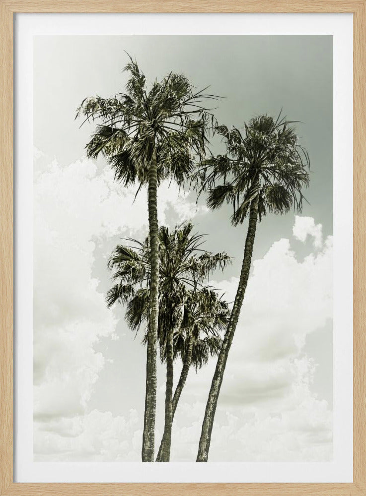 Palmen und Himmel | Vintage | Poster