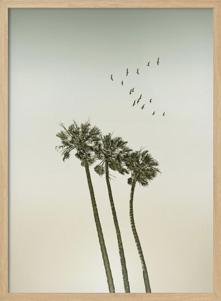 Minimalistische Vintage-Palmen und Sonnenuntergang | Poster